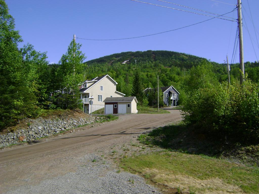 فيلا Vue Sur La Montagne LʼAnse-Saint-Jean المظهر الخارجي الصورة